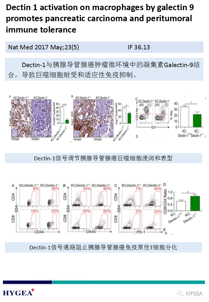 61s0jgkS9LfHkXKf33jZAuhUs9Mc2RdpRsGkfQDe