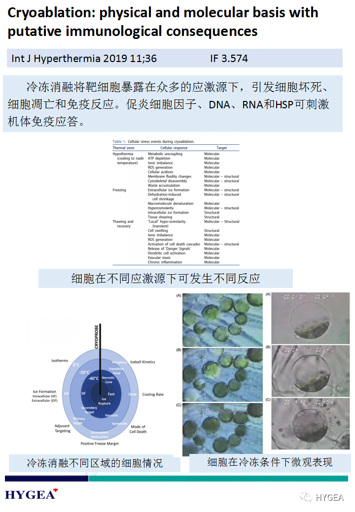 JbWbS3lqekLn8EQk7UUP9B6M9ufSwBKpkfZ06bj4