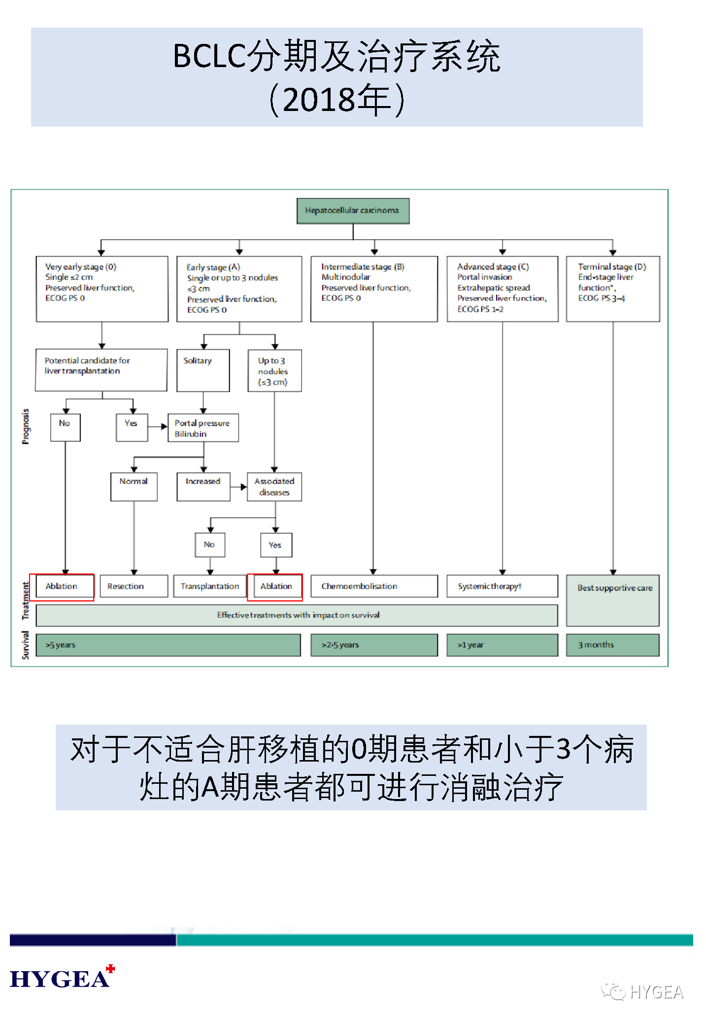 xlkVktp66Eegqeb6T9r4HHW11cnqlUMOC88NZwle