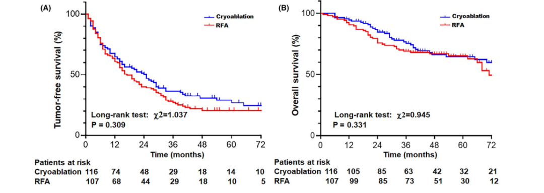 3R8aib6IcxYv2ZS80WRFv6Xt48Z94Exmbays5SpM