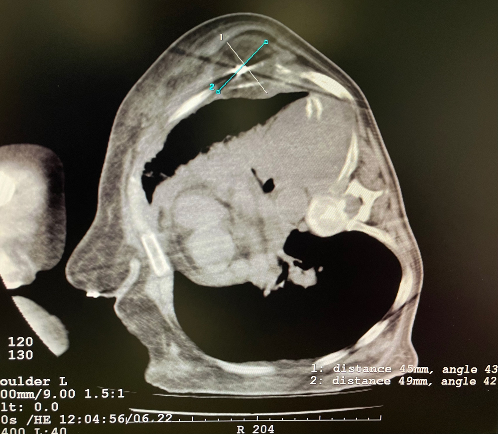 4Po5w1LJlfL3i0n1kjqrLTbWrbxTe53EjHB600FV