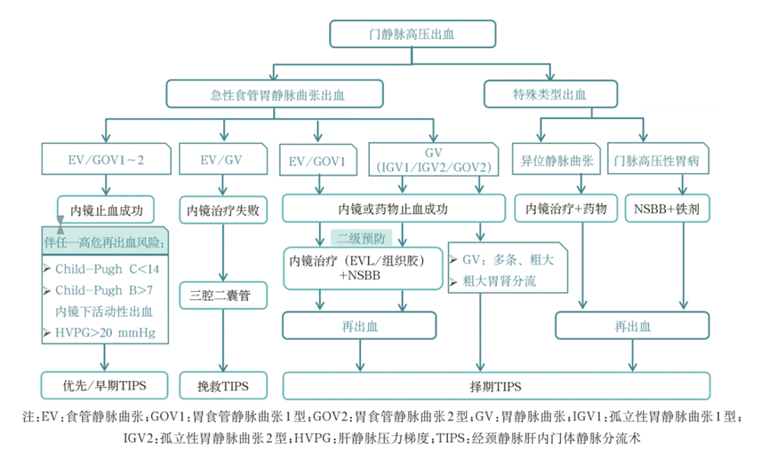 QsKlAnh0LCLuy8r1ipG161S42ODwfUpPkUOTFzXy