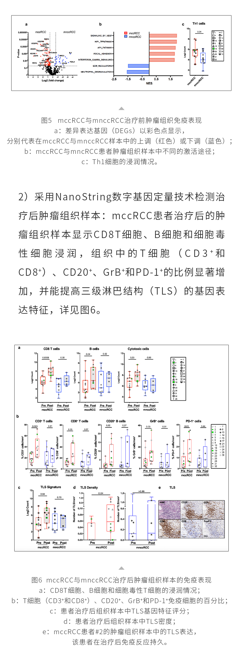 3FU1bMJiDuF7rKsKlja0dq8MyhD1KC6dEwFRXcgI