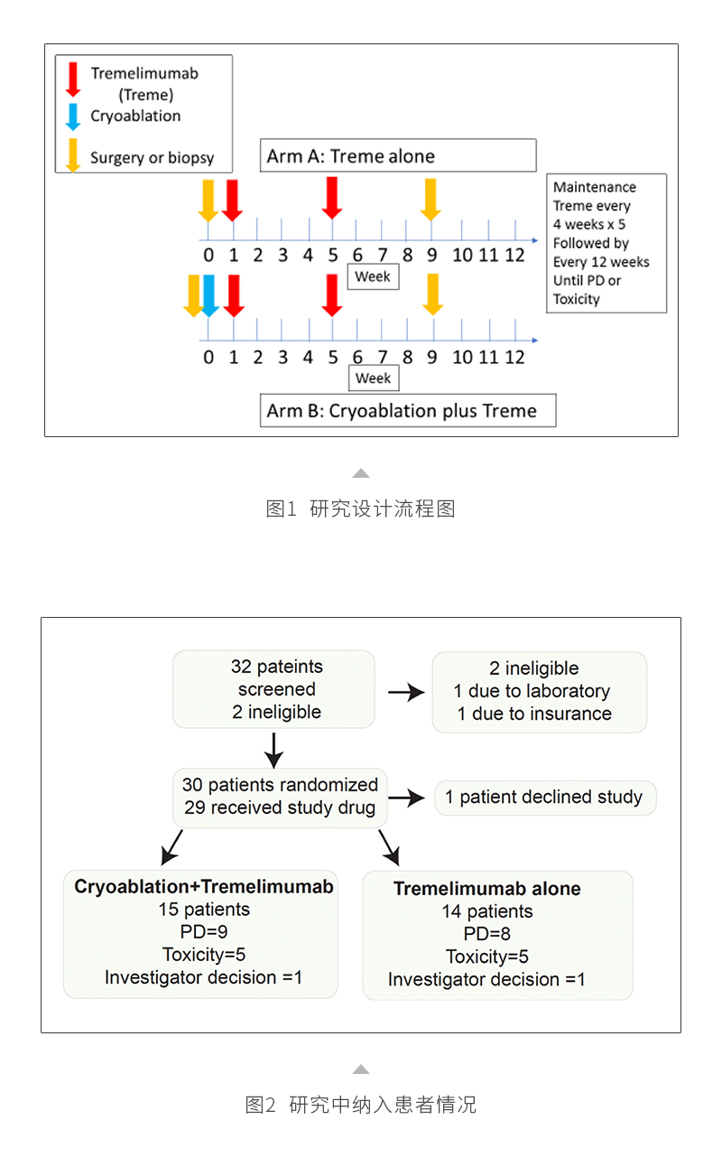 sVpB4lFgozFYX3AMl0Yxuk5rbUfZzzWDdLaQa0xi