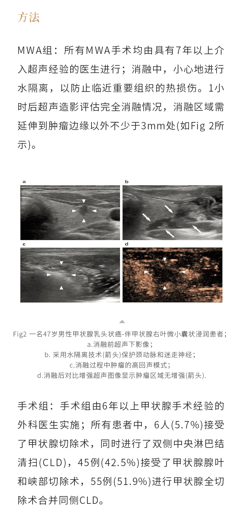 WUc6o6fnu4T6wHIhyNVz4OlRTFqEq3BOrWIDsC83