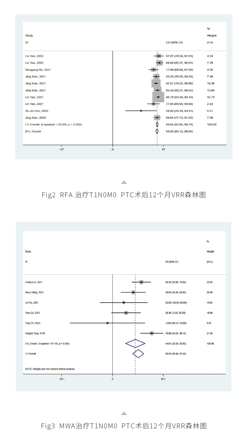 wJP6o39xg1maJYTTQT7sepPIMwPoGYB76vz41yjj