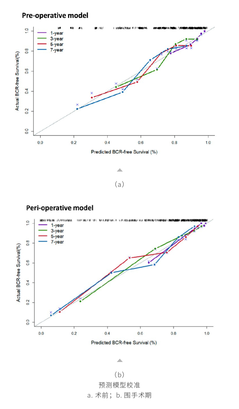 3LW0T8I1WIlyC8hvKpDs8qx6kyRKCYXYwiRpNFok