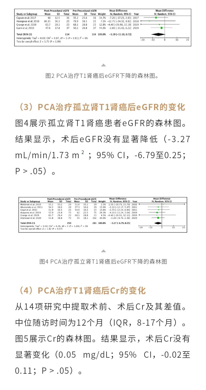 Pnr99igtEHZE8DyEn68KlbpuZWkK78QJqXBZCVTa