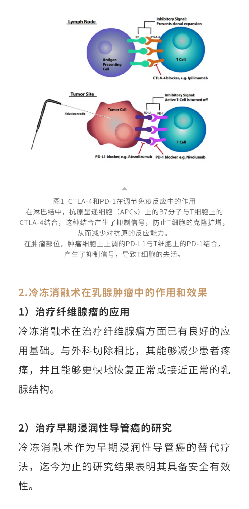 GmzbczsQuXfWHLHVgrXKHSPkyvH0veE8tpcHpRZ2