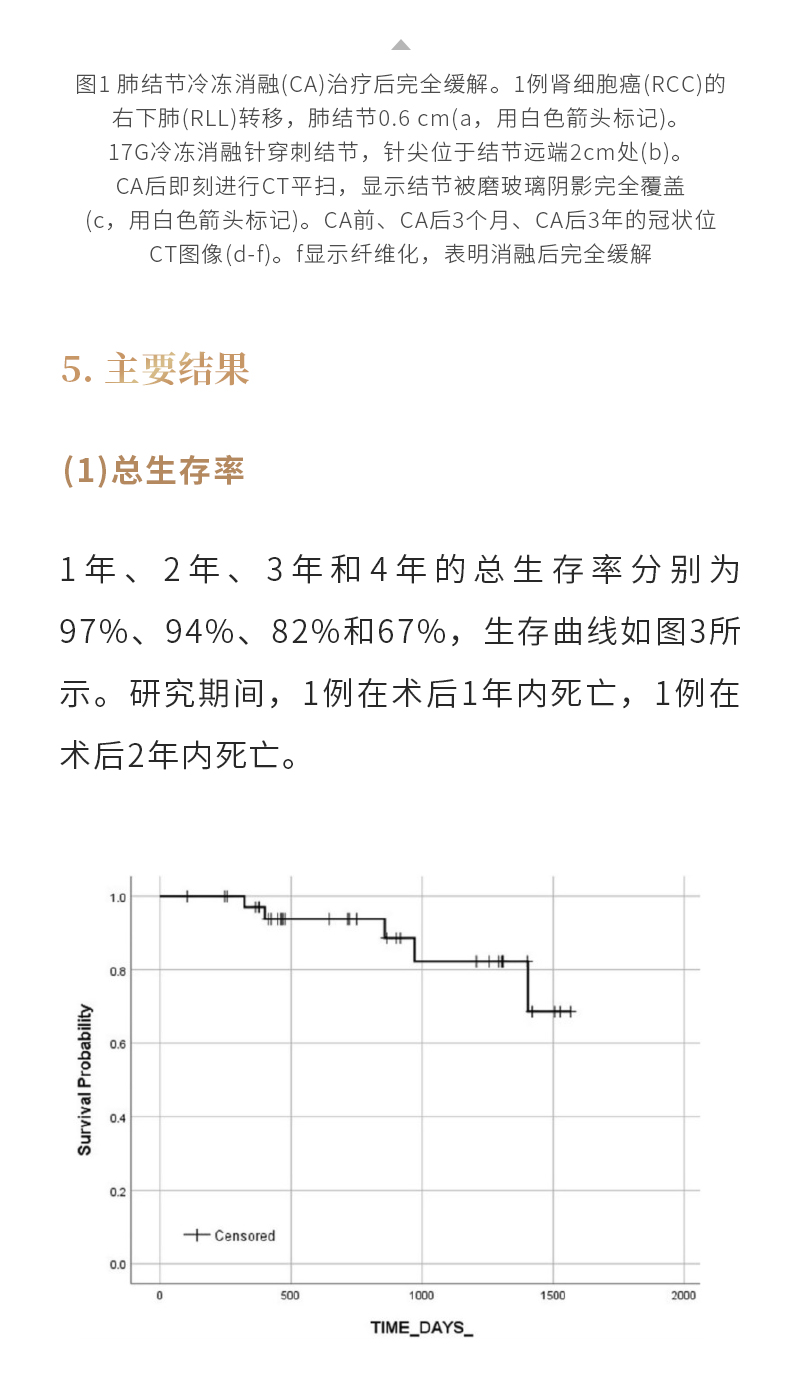 lcFm3L3AvWkhHk4qXuiZ4wmaqNavz8U7t86BdeDE