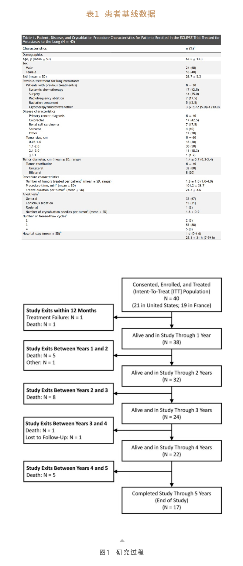 NrBbVdmJBCaxsm0VZBx650LZwnZ2qScupAEU4mZ6