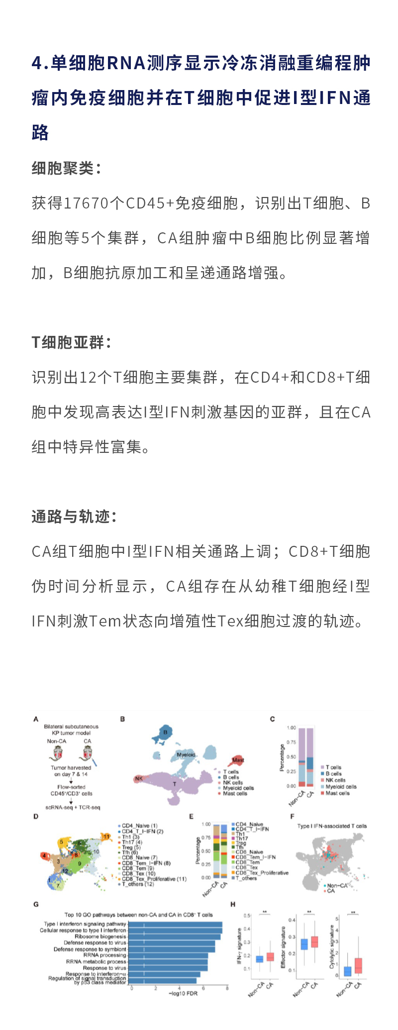 dkNuR8Bo7YcxmkQaoXnzrY4M8YHBQcuFBmrdgHJM